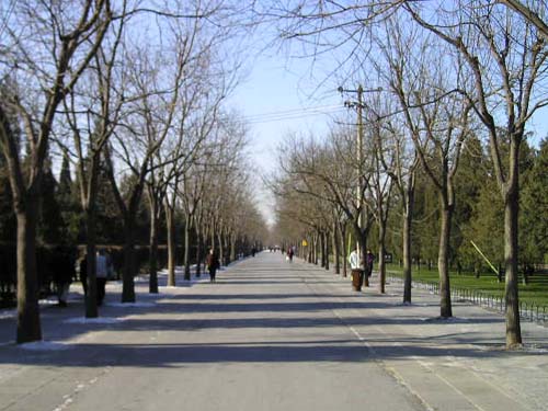 P1010096