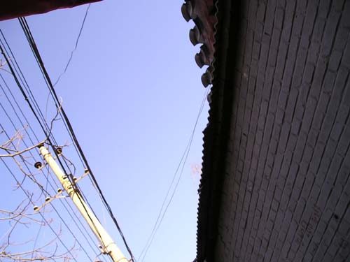 P1010100