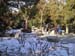 P1010122